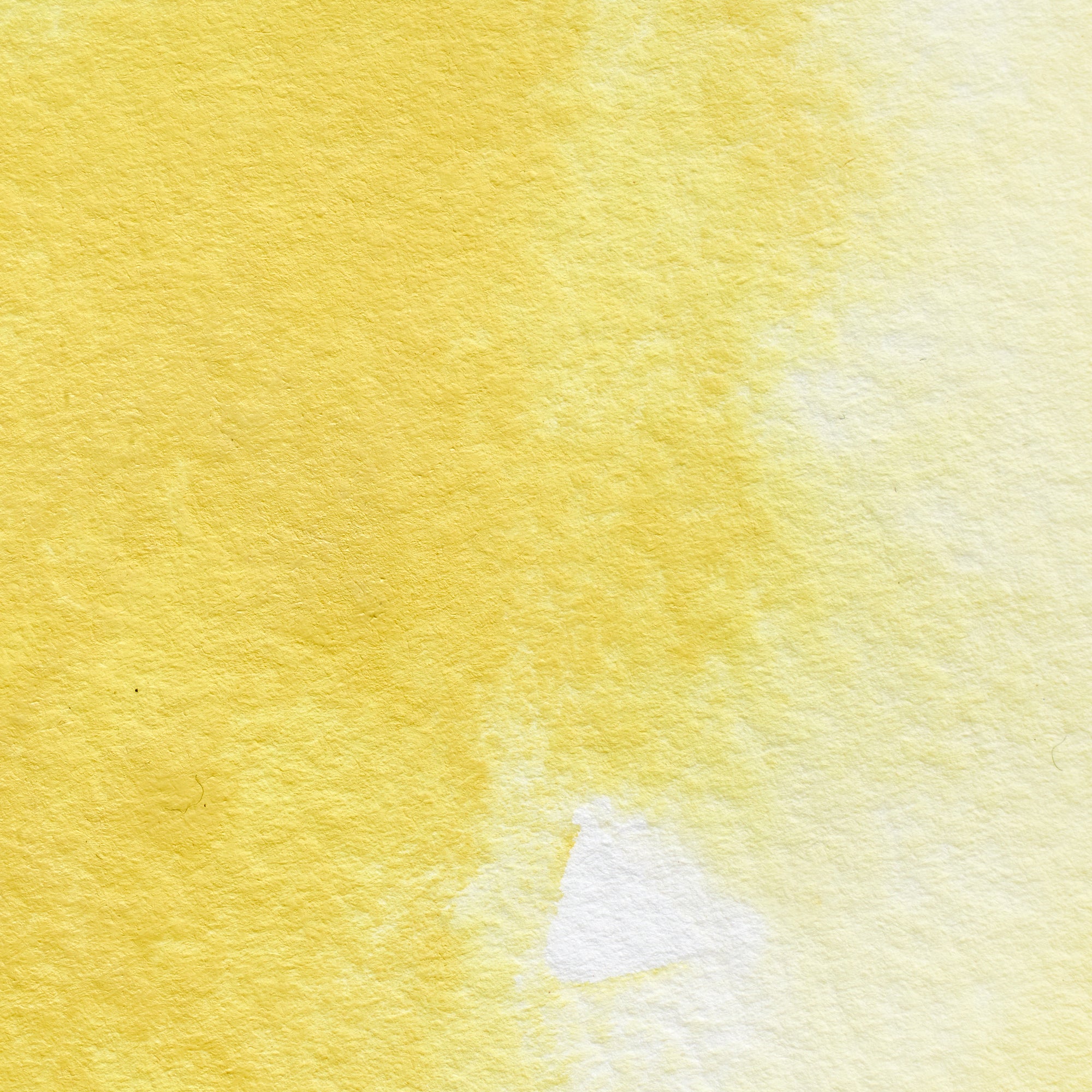 Winsor & Newton Professional akvarellfärg 5ml Lemon yellow hue #347 fargprov