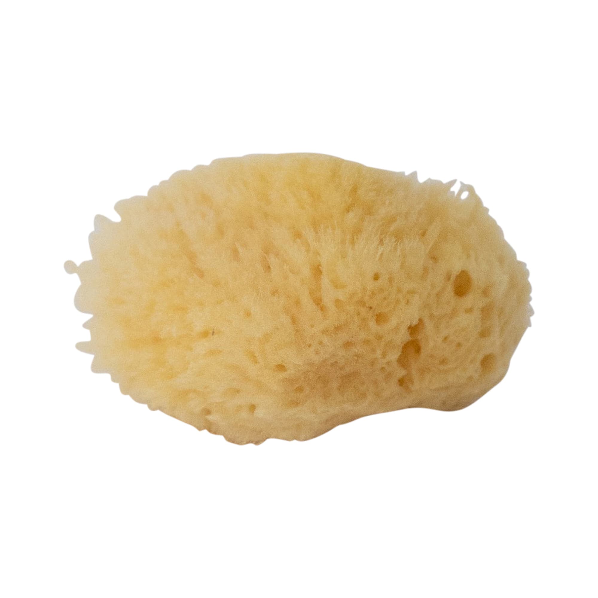 Natursvamp - Finporig - 6 cm, 3 st - Art of Veda