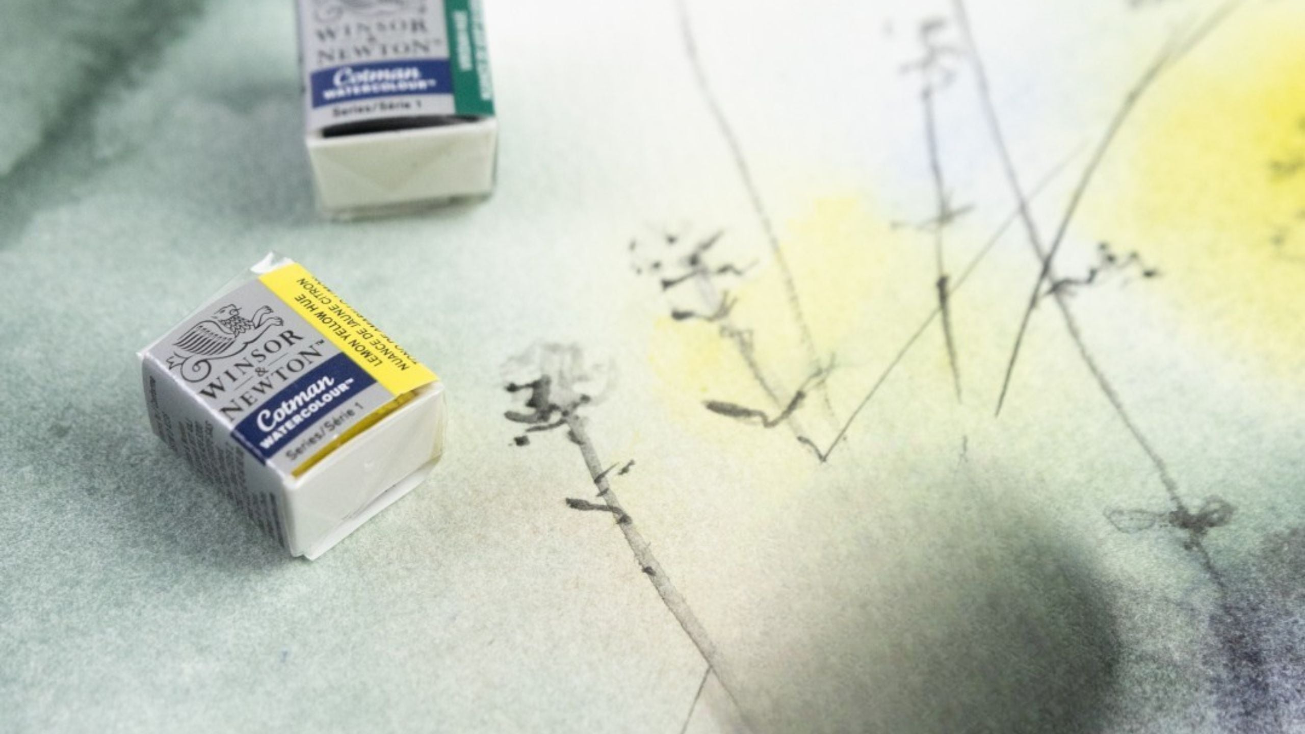 Winsor & Newton Cotman Akvarellfärg