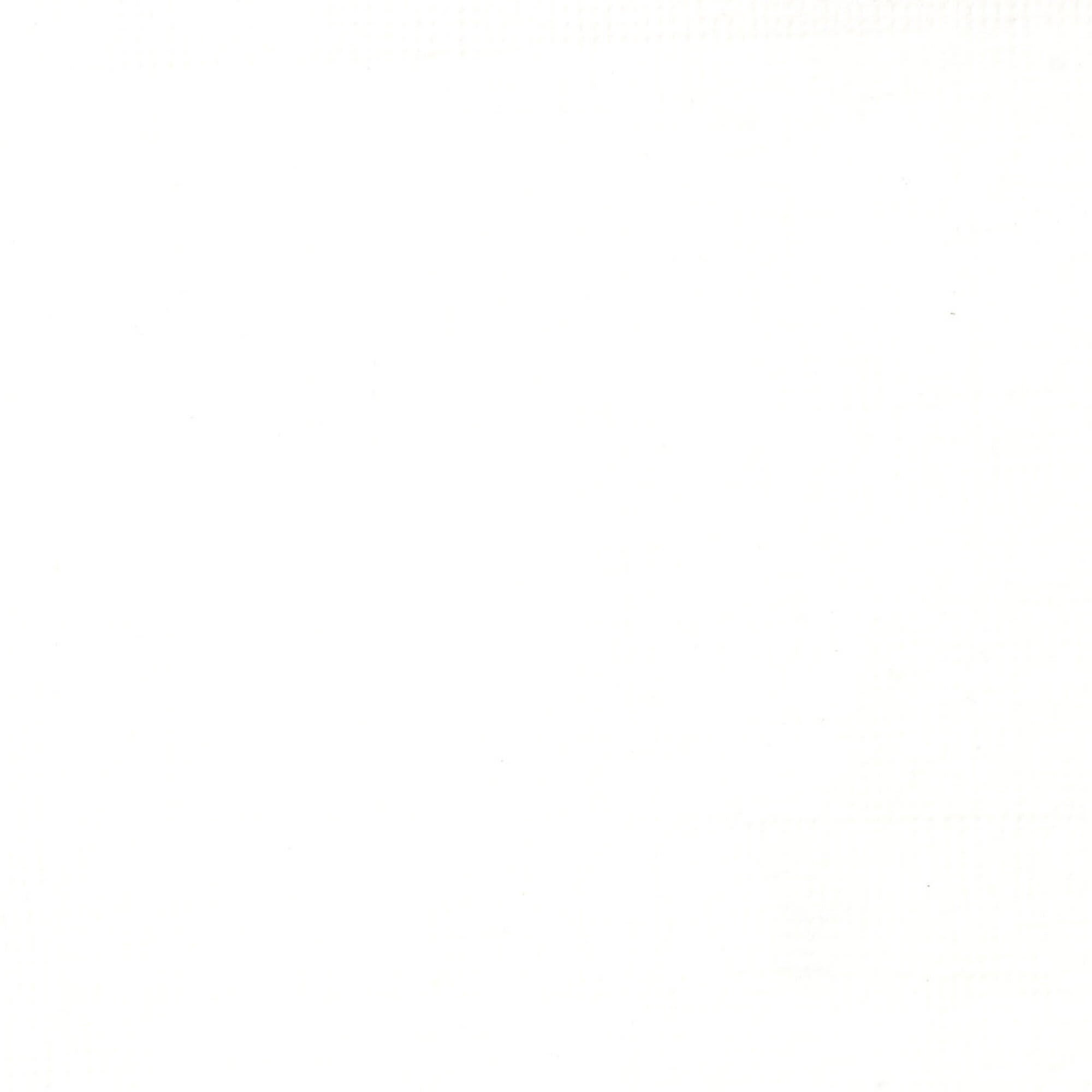 Liquitex Professional Acrylic Ink 30 ml  - Titanium white #432 fargprov