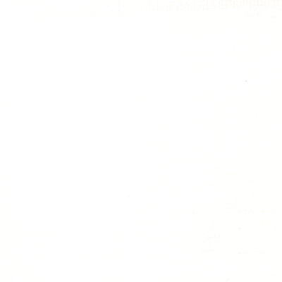 Liquitex Professional Acrylic Ink 30 ml  - Titanium white #432 fargprov
