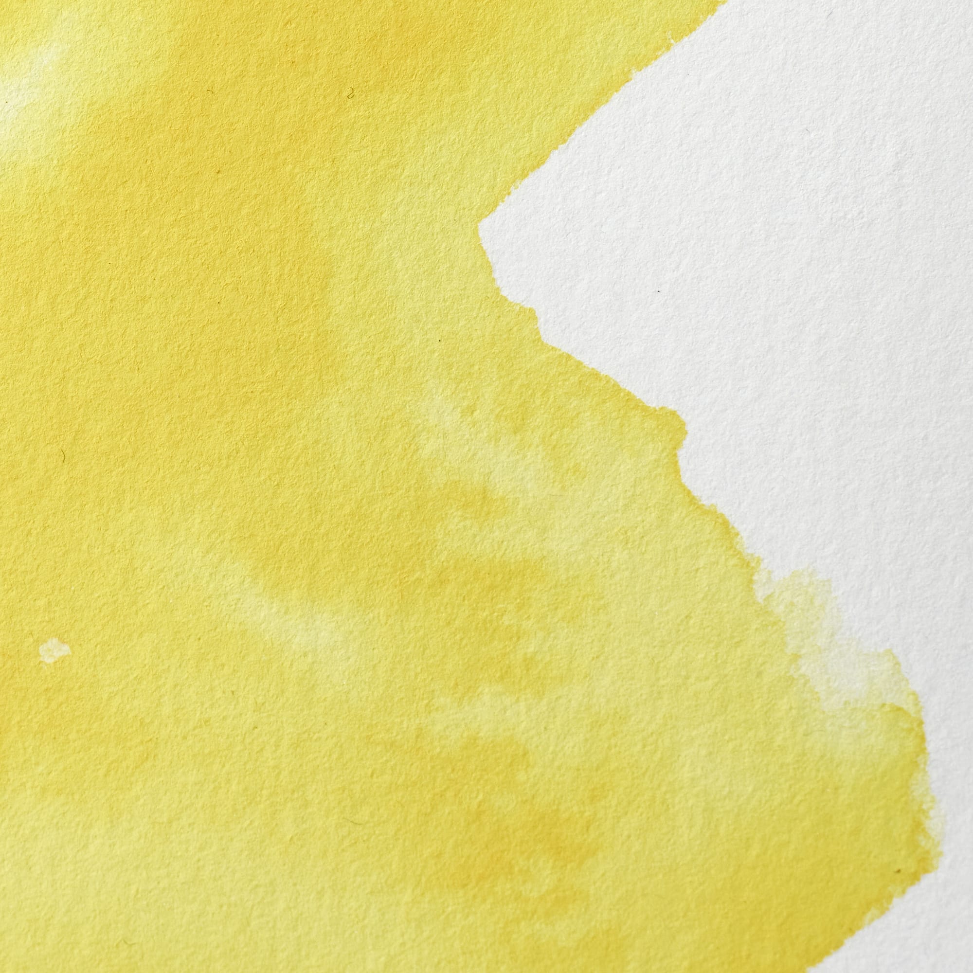 Winsor & Newton Professional akvarellfärg halvkopp - Cadmium-free Lemon #898 fargprov