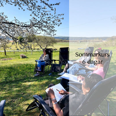 Målarkurs Vedic Art Grund & Fortsättning - Sommarvecka 9-14 aug